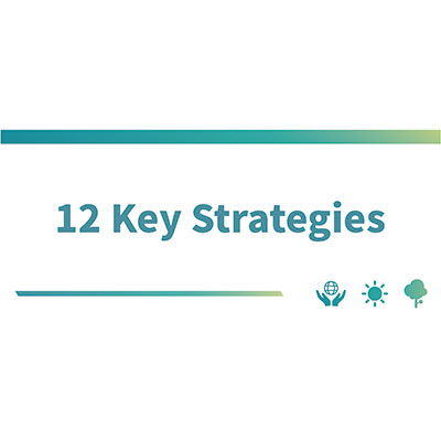 12 Key Strategies